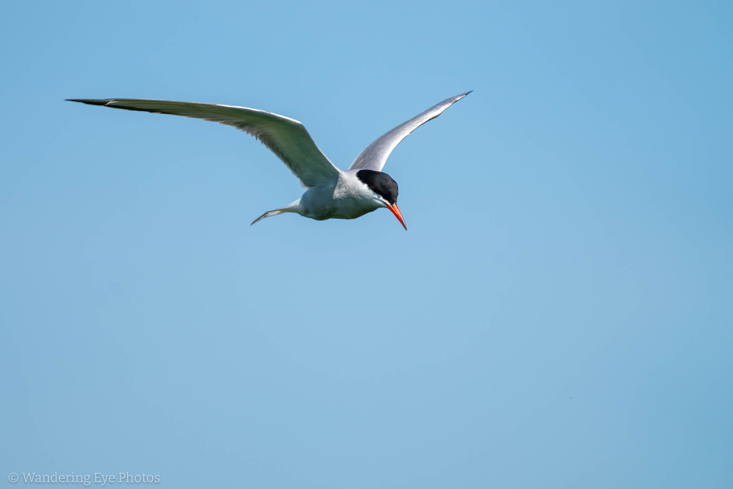 07.19 11.24.47 DSC09241